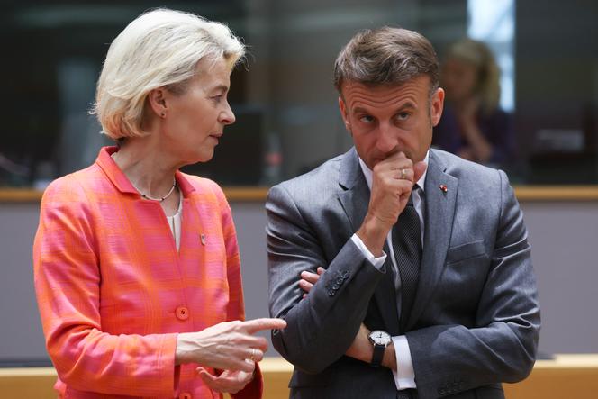 Some in Brussels worry a 'paralyzed France' could no longer 'play the role of driving force'