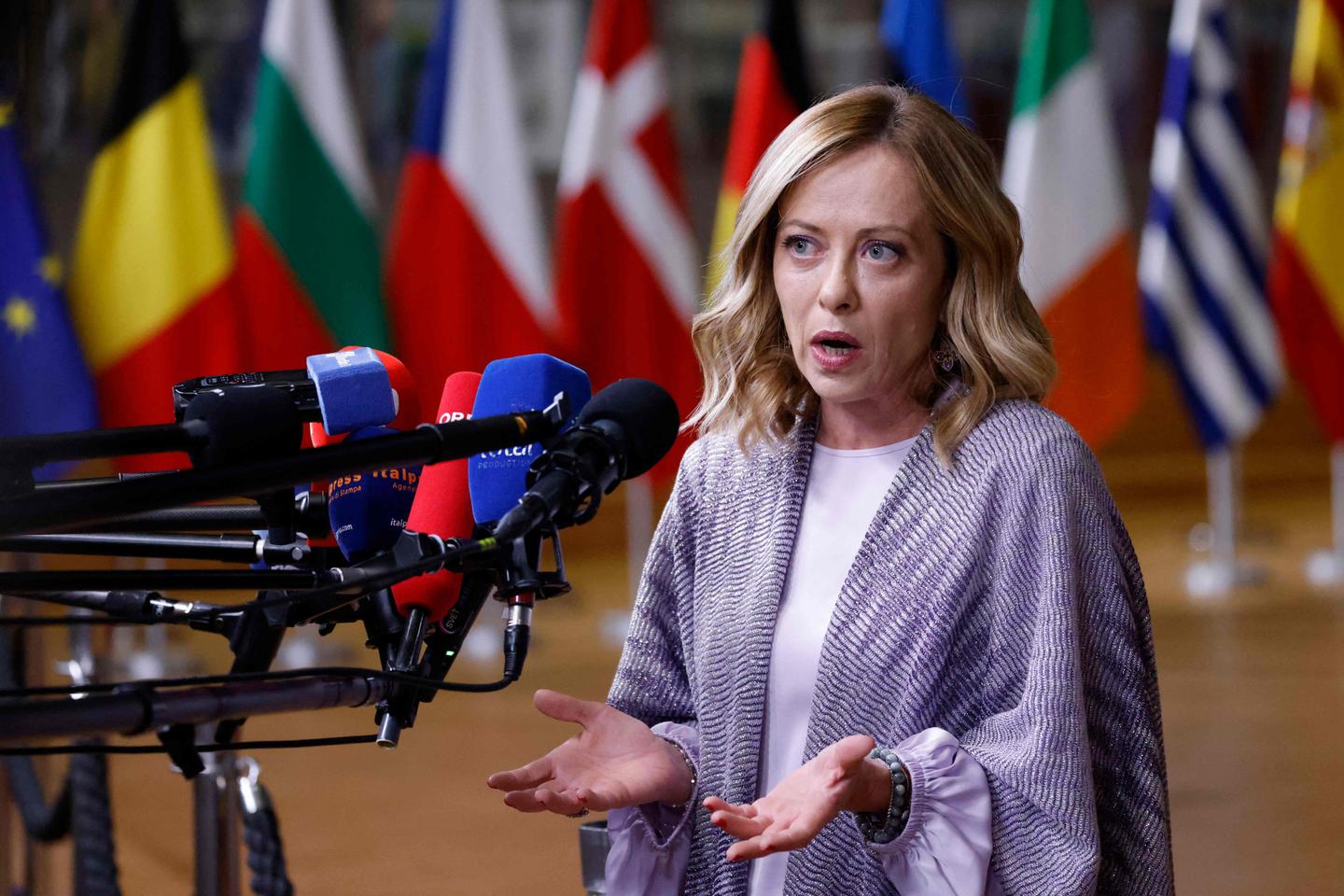 イタリアのジョルジャ・メローニ首相は、極右政党に所属する一部の若者による人種差別的、反ユダヤ的な発言を非難した。