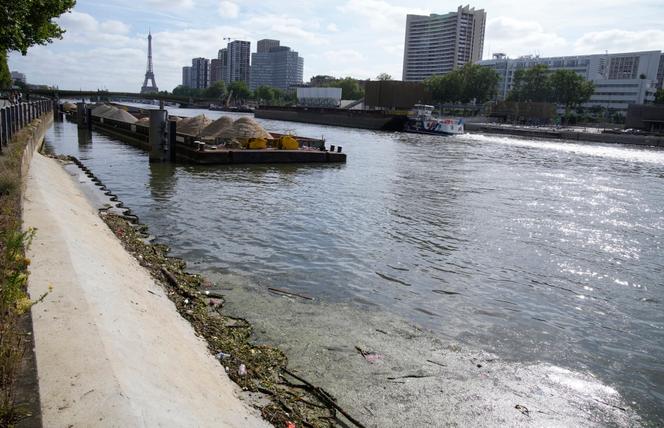 Seine unfit for swimming one month from opening | WN24 1 The Seine river in Paris, France, flows on Friday, June 28, 2024.