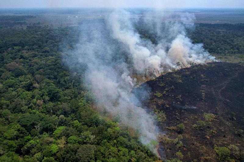 A fire in the Amazon rainforest, on the border between the states of   Rondônia and Amazonas states, northern Brazil, August 31, 2022