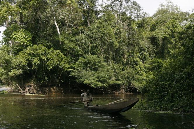 La rivière Cavally, en Côte d’Ivoire. 