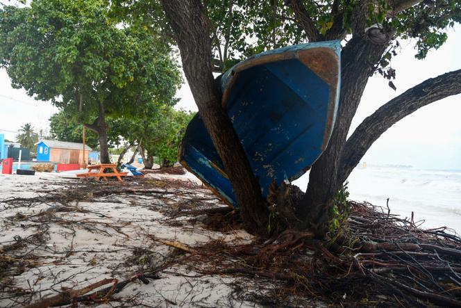 Hurricane Beryl strengthens to 'potentially catastrophic' Category 5 storm | WN24 5 A boat ended up in a tree after the passage of Hurricane Beryl in Oistins gardens, Christ Church, Barbados on July 1, 2024.