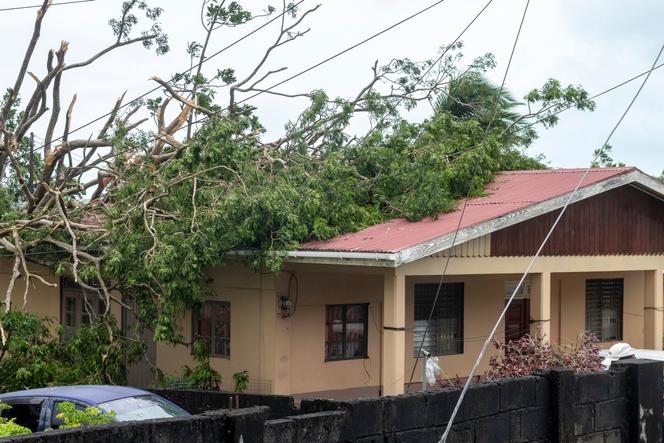 Hurricane Beryl strengthens to 'potentially catastrophic' Category 5 storm | WN24 3 A tree lies on the roof of a house in Kingstown, St. Vincent and the Grenadines, after Hurricane Beryl on Monday, July 1, 2024.