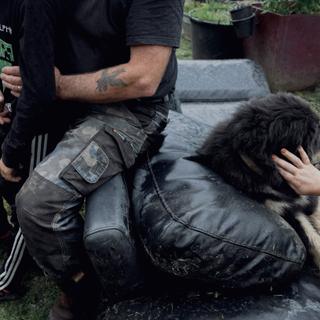 Images Le Monde.fr