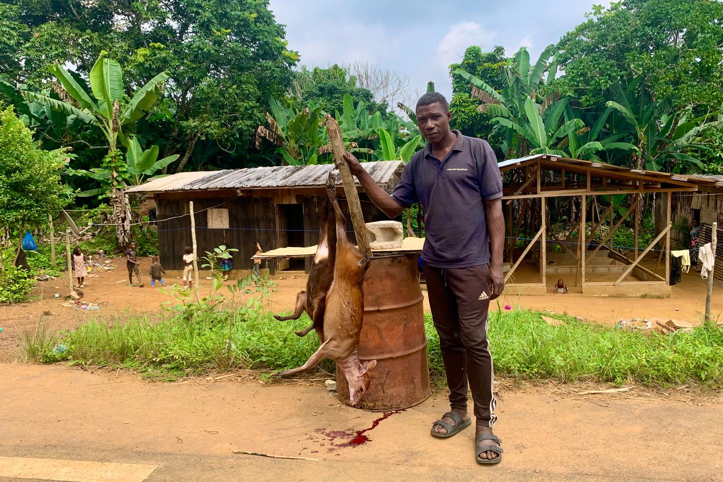 Au Gabon, chasseurs de brousse et traqueurs de virus