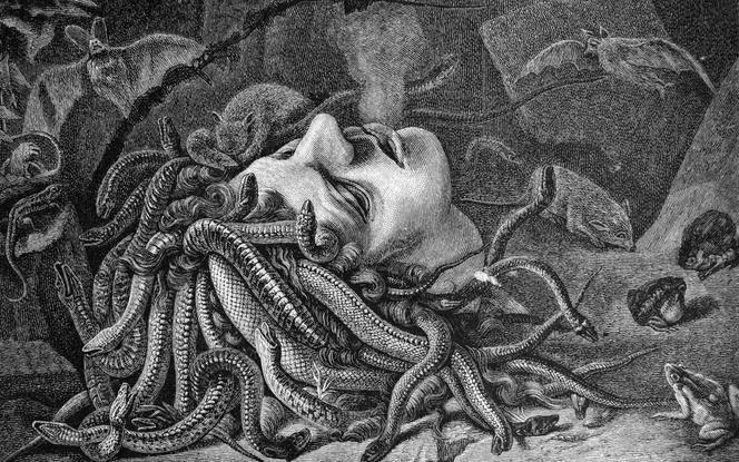 Tête de Méduse, gravure (1877).