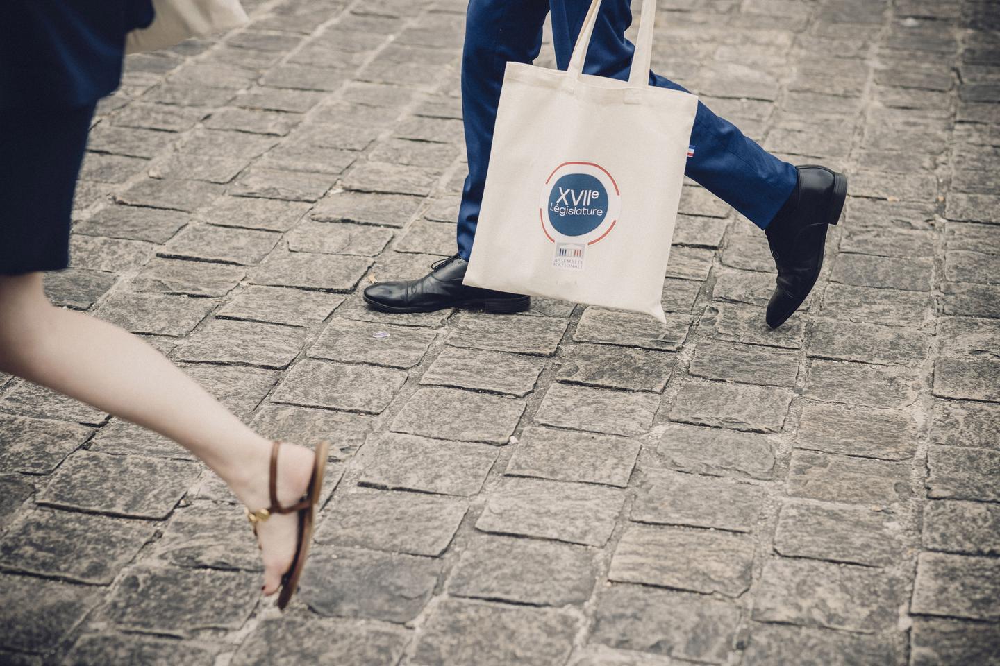 What's in a bag? How the tote became the Assemblée Nationale's new briefcase