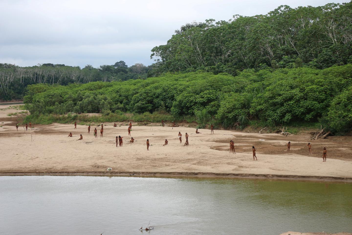 In Peru, the world's largest uncontacted Indigenous tribe disrupted by deforestation