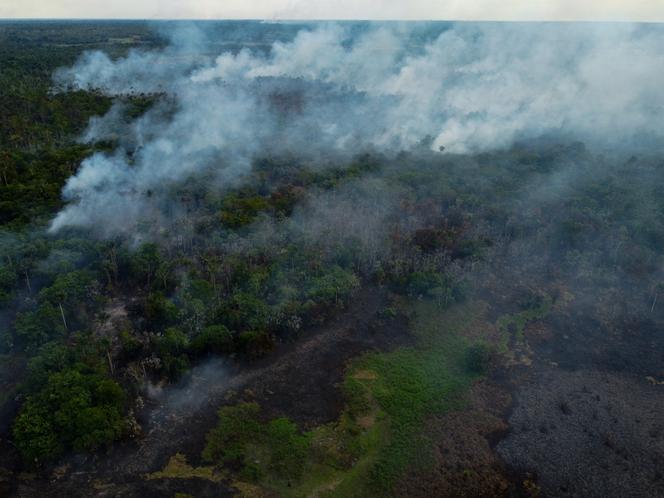 Images Le Monde.fr