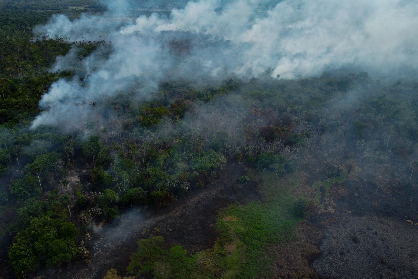 The Amazon continues to burn despite the decline in deforestation