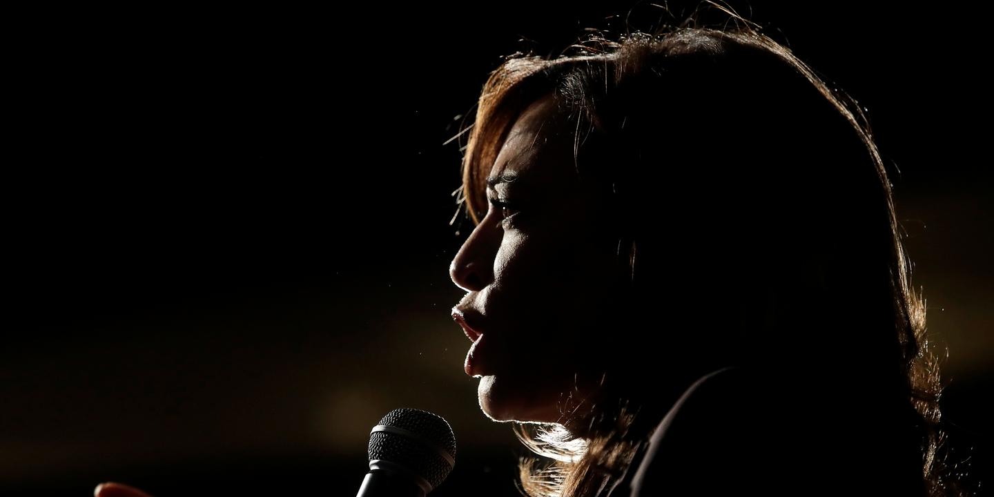 Più di 500 delegati democratici sostengono Kamala Harris, che dovrebbe fare la sua prima apparizione pubblica dopo le dimissioni di Joe Biden questo pomeriggio.