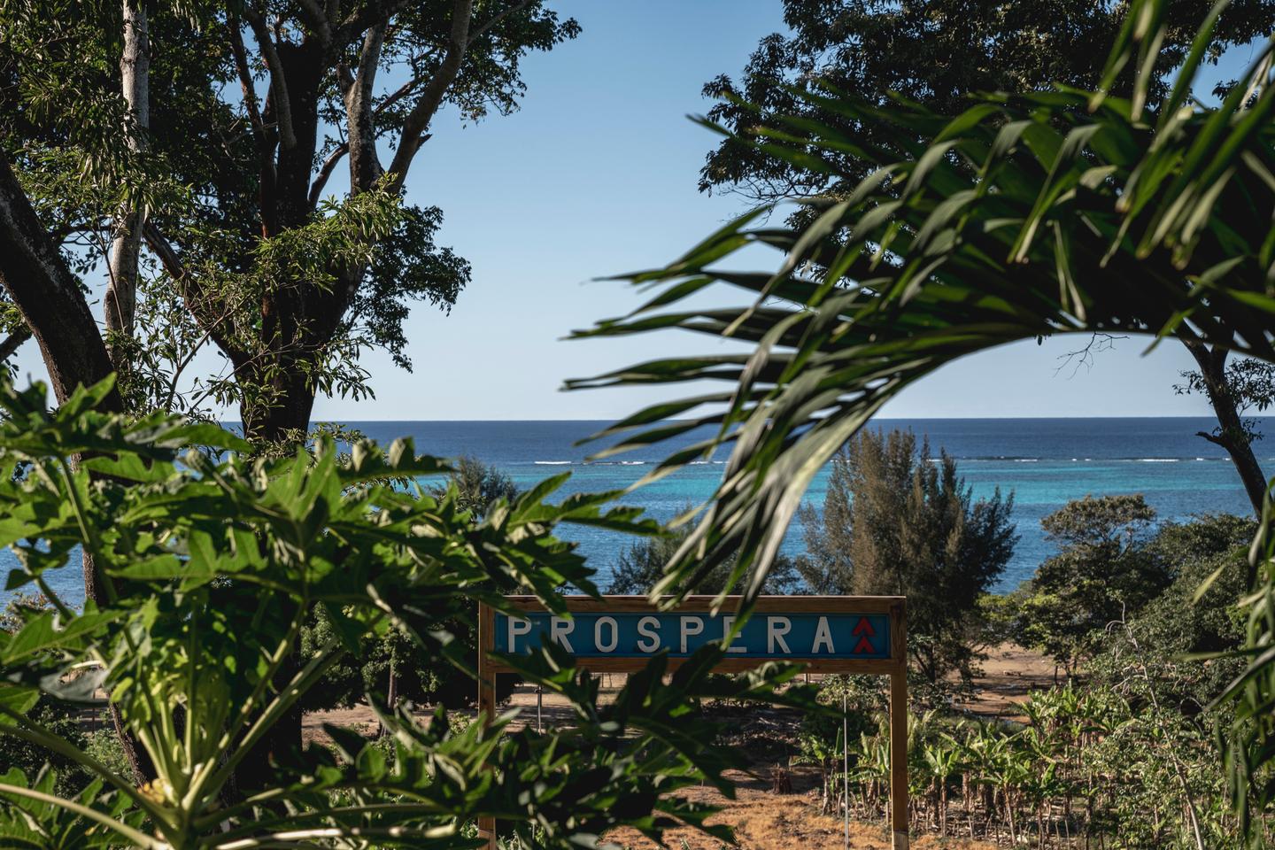 Prospera, the eccentric private libertarian enclave in Honduras