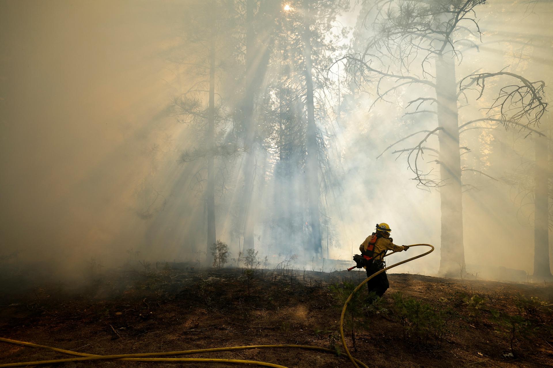 Smoke from the Park Fire was carried by winds as far as other neighboring states.