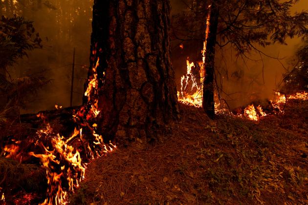 "The extreme conditions of this fire continue to present a challenge for firefighters," according to state agency Cal Fire.