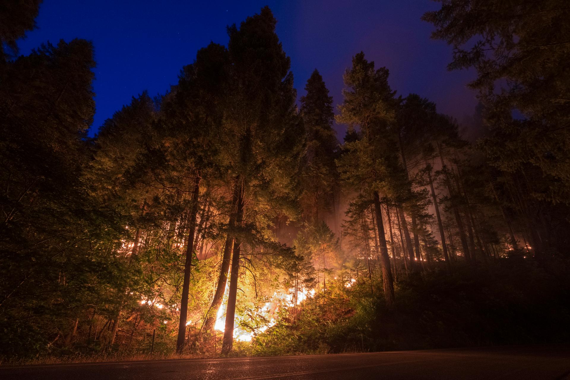 Park Fire, the blaze that started near the small town of Chico, has devoured more than 144,500 hectares, according to estimates Sunday evening, reported Billy See, of the state agency Cal Fire. The fire became the seventh most destructive in California history. Butte Meadows, California, July 28, 2024.