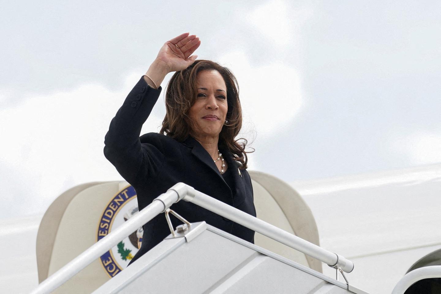 Democrats start to vote to nominate Harris after Trump race remark outrage