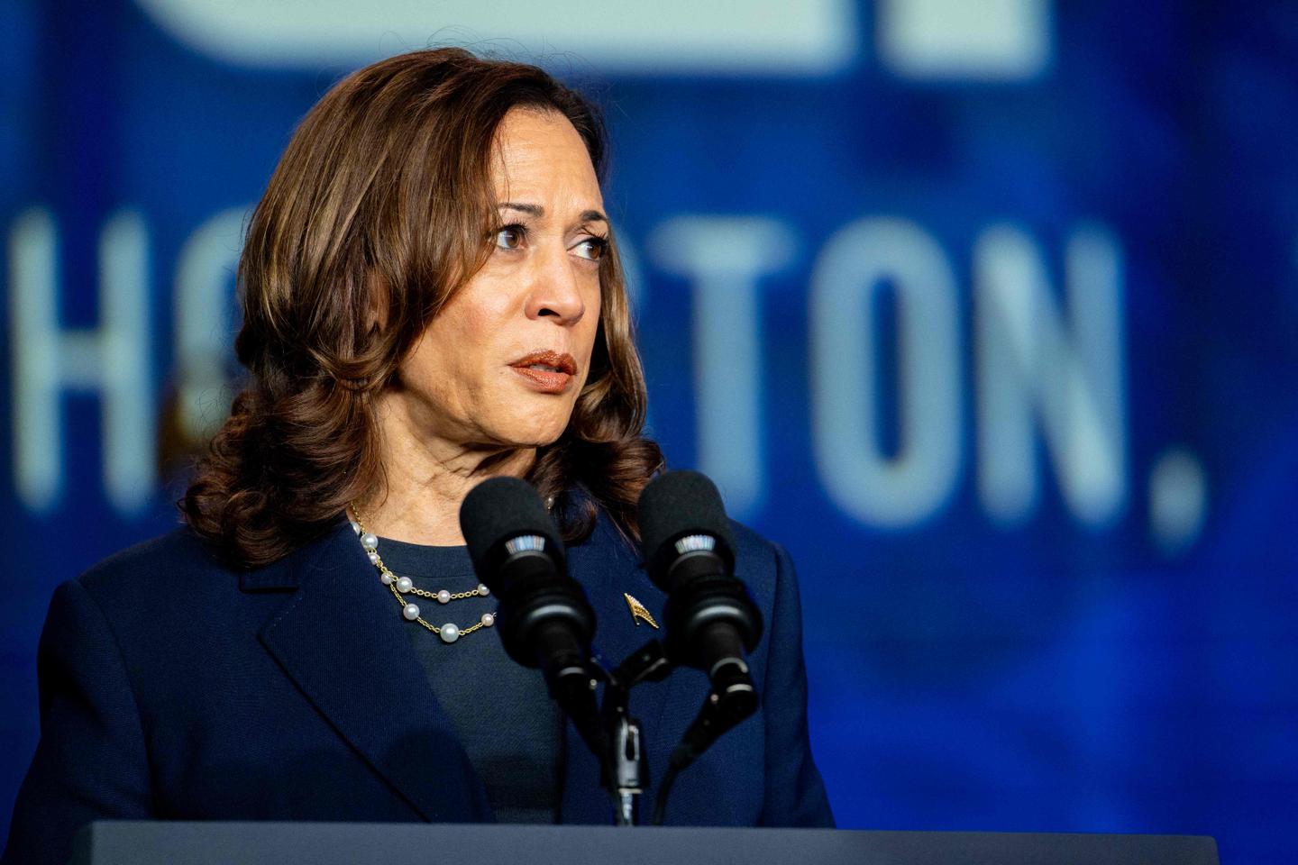 Harris 'honored to be presumptive Democratic nominee' after securing delegate votes