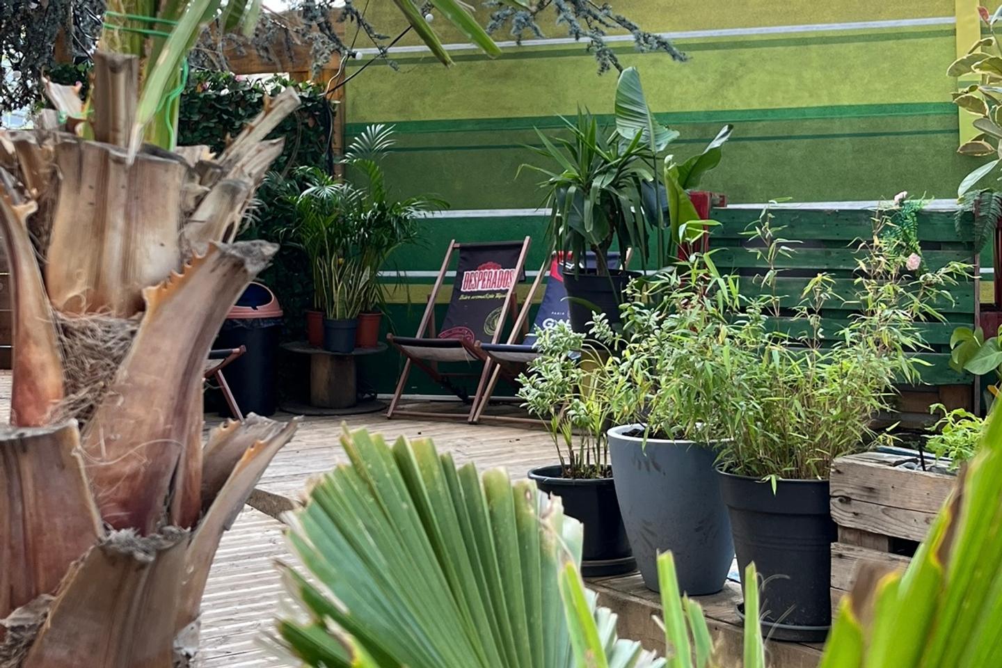 Cache Terasse Cinq terrasses cachées, de Paris à Montreuil