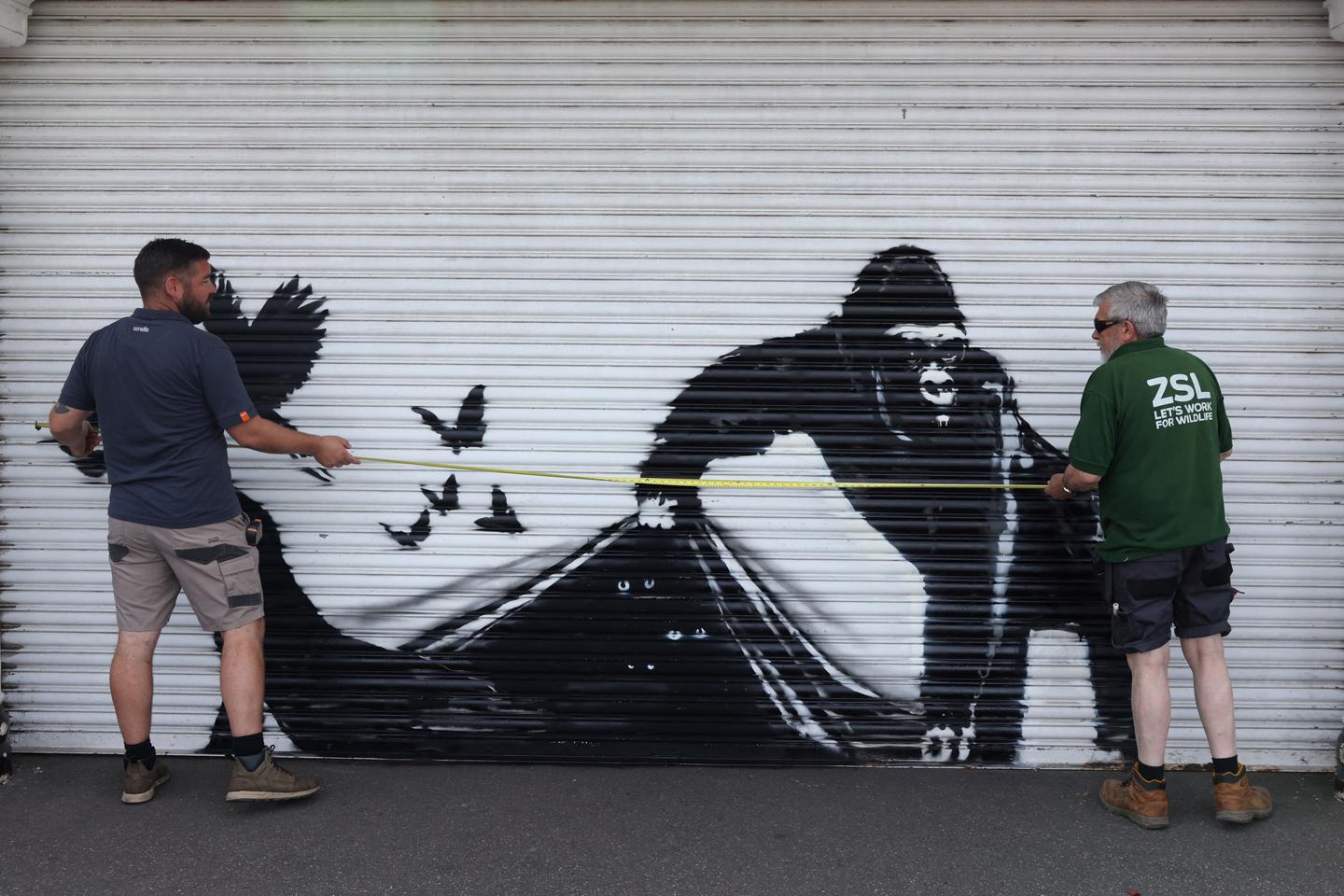 Banksy onthult nieuwe graffiti in de London Zoo waarop gorilla’s zijn afgebeeld die andere gevangen dieren bevrijden