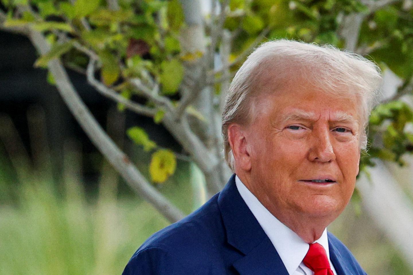 Trump signals support for recreational marijuana in Florida: 'This will happen'