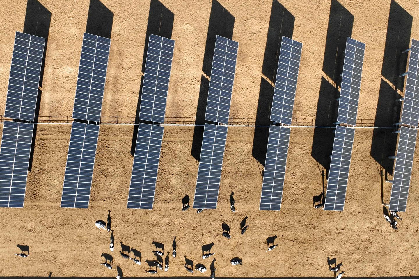 Australië keurt plannen goed om ’s werelds ‘grootste’ zonne-energiecentrale te bouwen