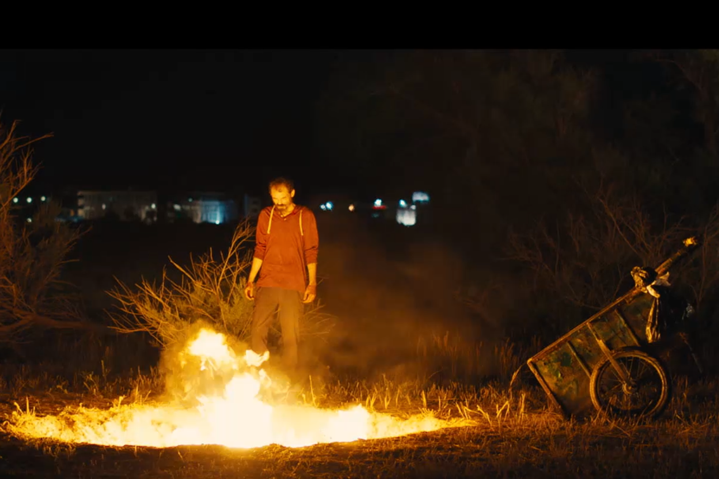 On Locarno's screens, a disquieting selection features the body in all its states