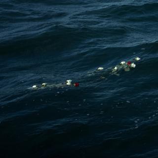 Images Le Monde.fr