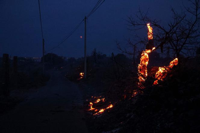 Images Le Monde.fr