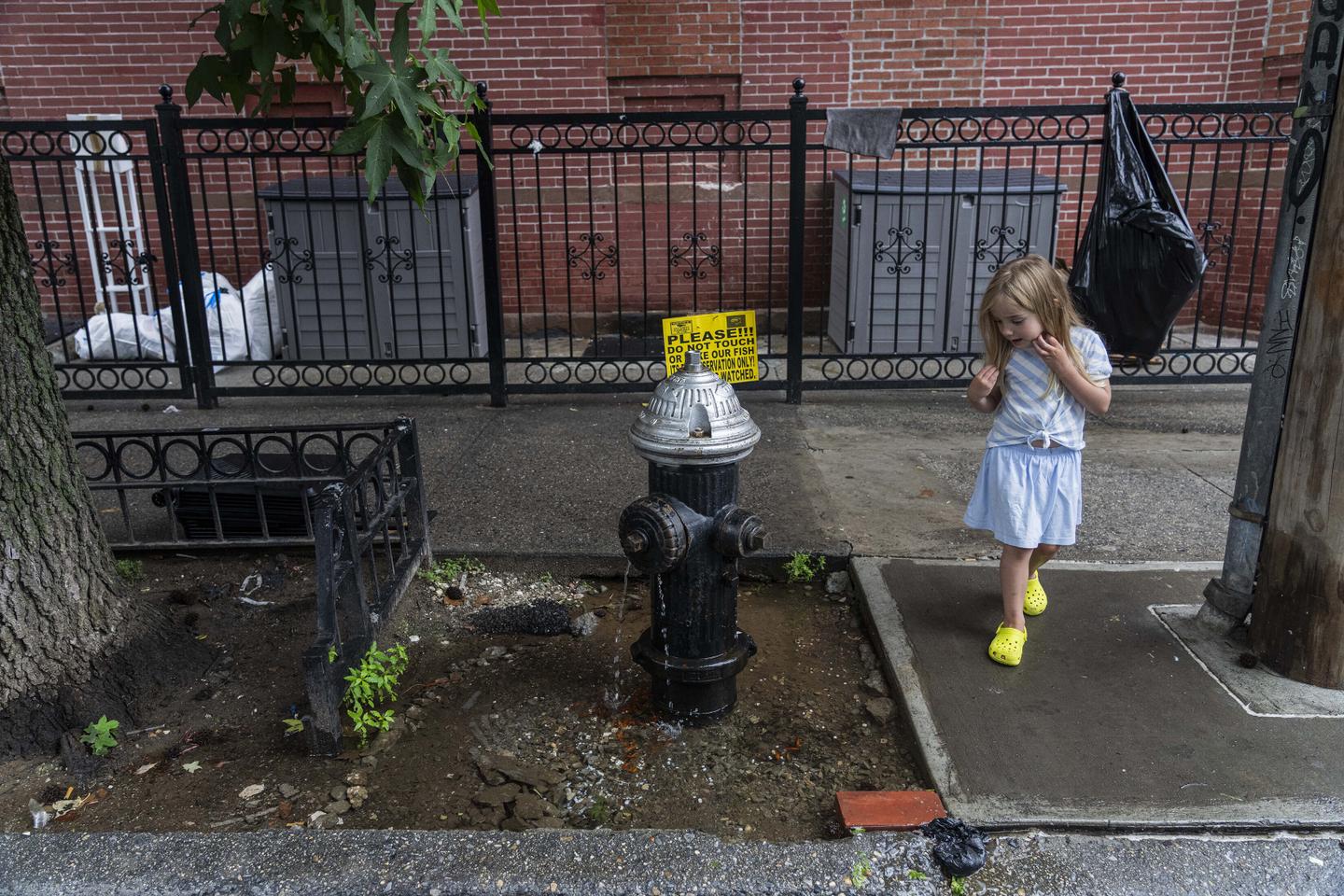 Brooklyn's fish pond of discord