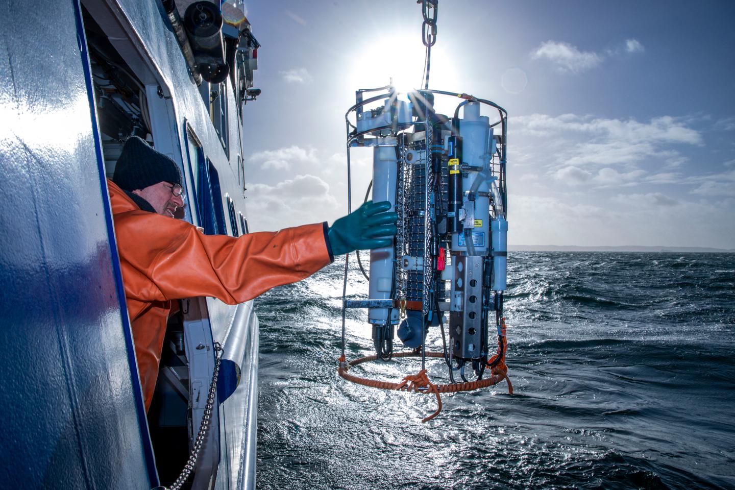The Baltic Sea faces the collapse of its fish stocks