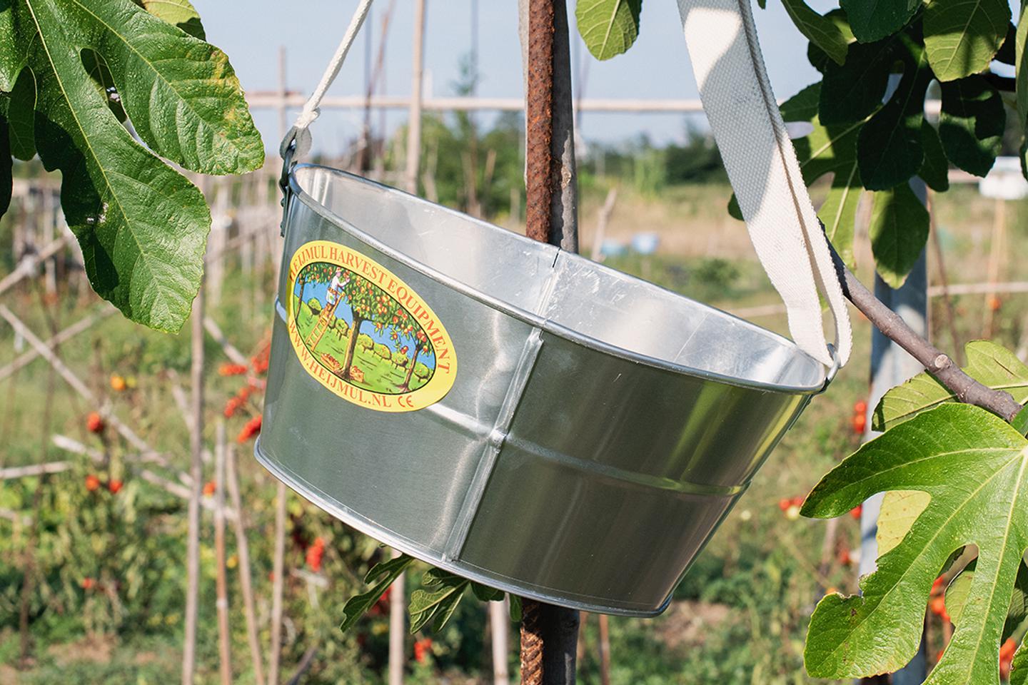 Panier De Ramassage De Verger Avec Bretelles - Sac à Dos