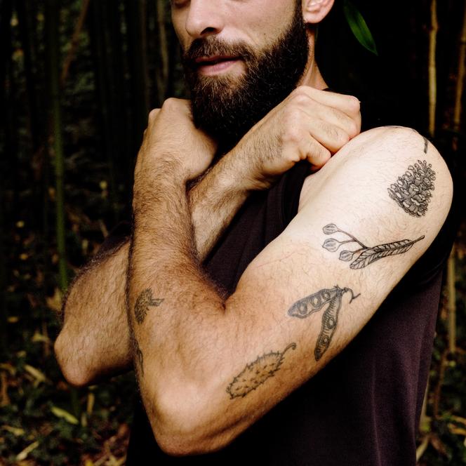 As sementes tatuadas no braço de Julien Botrel, em Trébry (Côtes-d'Armor), 9 de agosto de 2024.