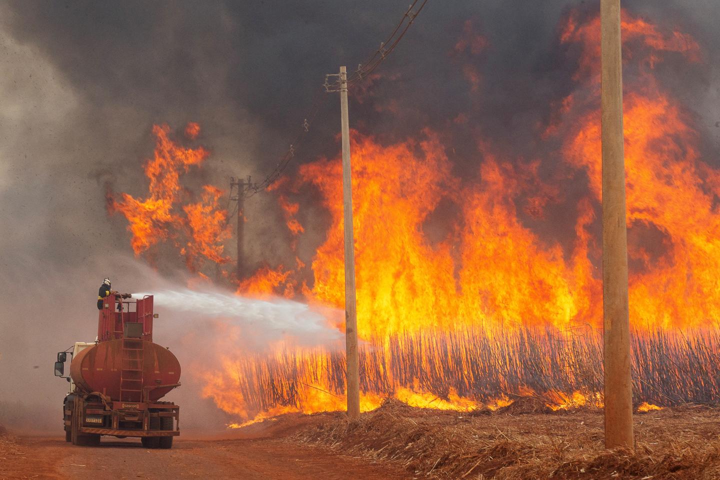 Brazil deploys military aircraft against wildfires amid suspected arson