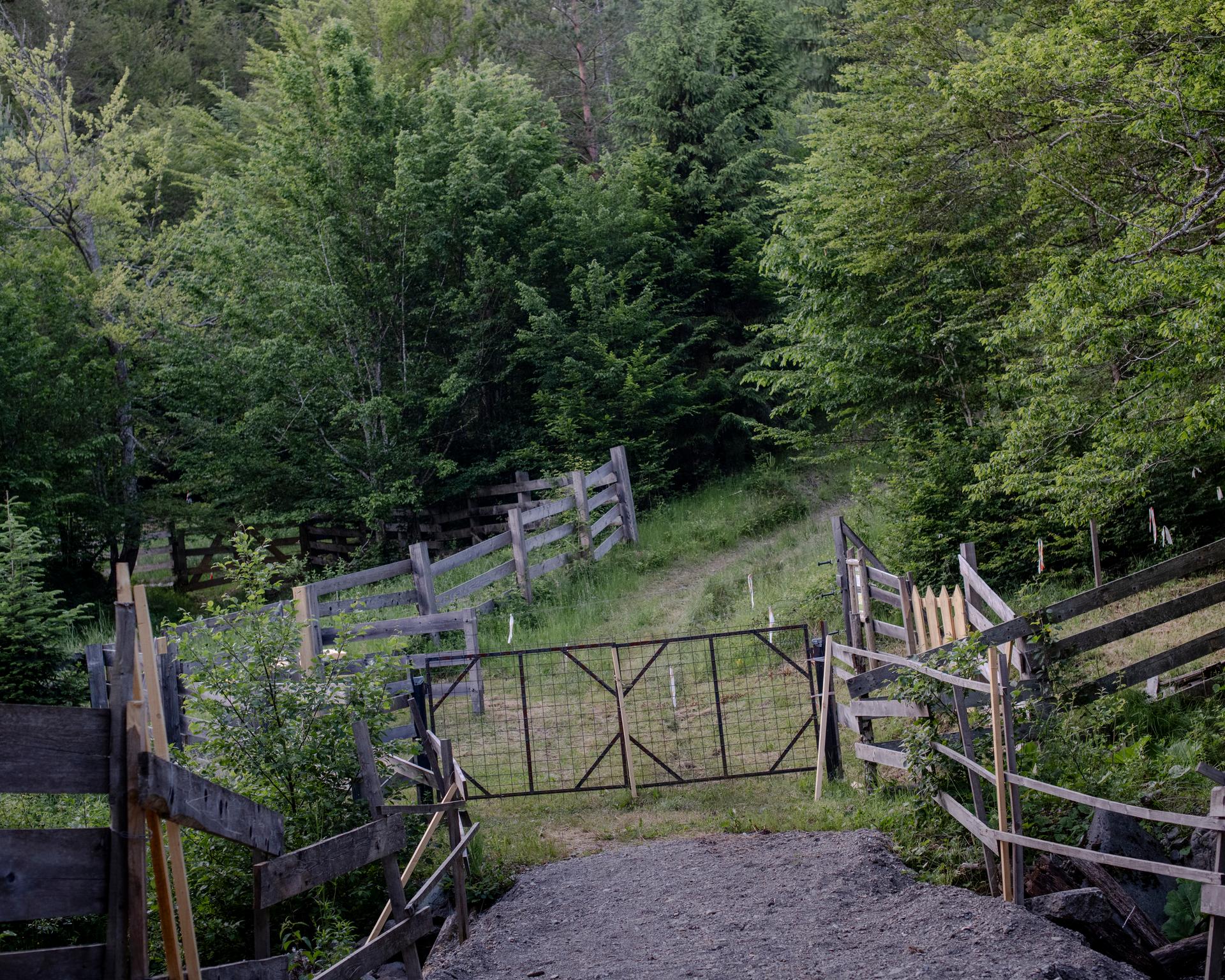 Electric and wooden fences separate the acclimatization area where the bizons stay for at least a month after being transported from European zoos, and before being released into the wild. Armenis (Romania), June 2, 2024.