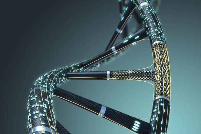 Vue d’artiste d’une molécule d’ADN synthétique créée par un programme de modélisation 3D, en 2016.