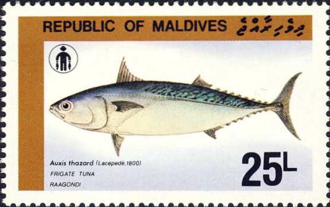 « Auxis thazard » (Lacepède, 1800), espèce de petit thon, timbre des Maldives.