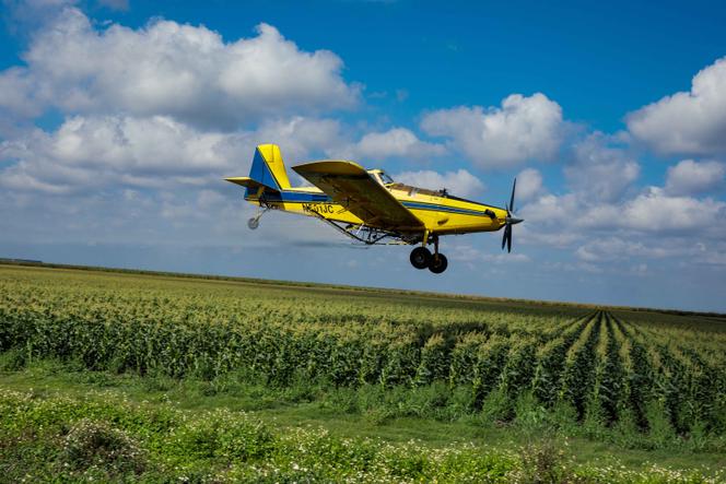 Un pulvérisateur de pesticide sur un champ de maïs près de Belle Glade, au nord du parc national des Everglades. 