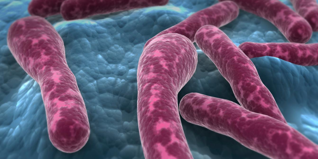 Botulism Outbreak in Indre-et-Loire Five in Intensive Care Pesto Jars Under Scrutiny