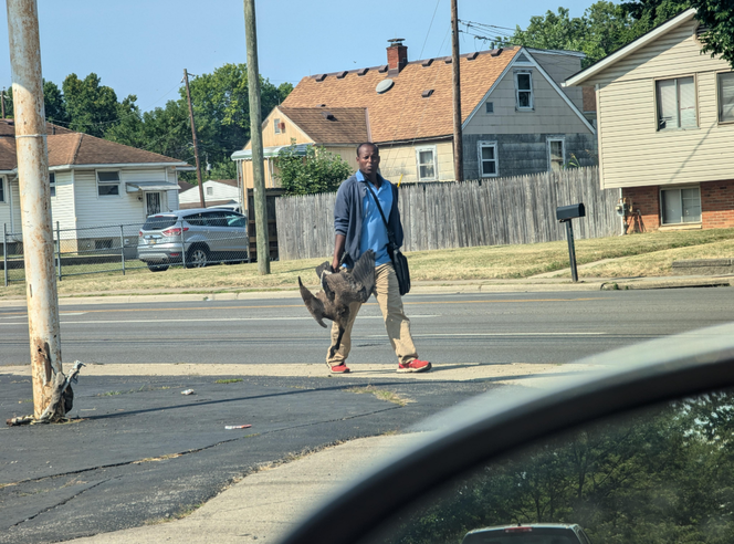 Une photo prise à Columbus (Ohio), mise en ligne le 8 août, montre un homme portant une oie inerte, sans contexte. Celle-ci sera interprétée comme une preuve que les Haïtiens de Springfield mangent les oiseaux de la ville.  