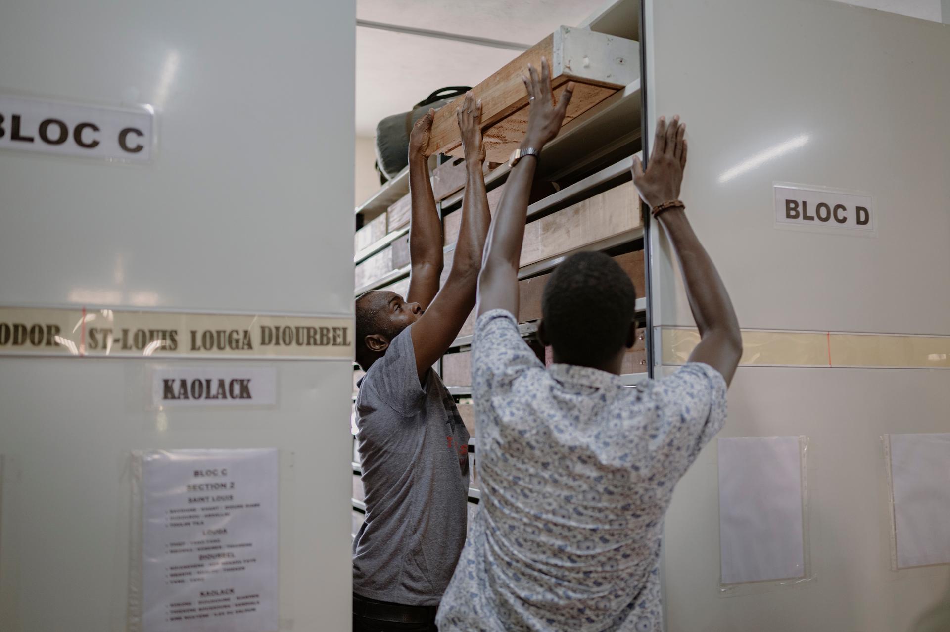 Le doctorant René Ndiana Faye (de dos) et le docteur en archéologie Adama Hadj sont à la recherche d’artefacts trouvés sur l’île de Gorée, au large de Dakar, dans les stocks de l’Institut fondamental d’Afrique noire, le 10 septembre, à Dakar.