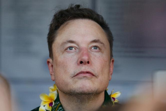 Elon Musk, patron du réseau social X, à Denpasar (Indonésie), le 19 mai 2024.
