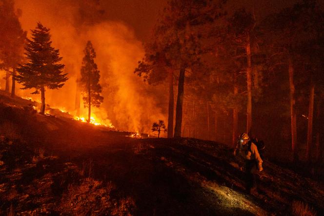 Images Le Monde.fr