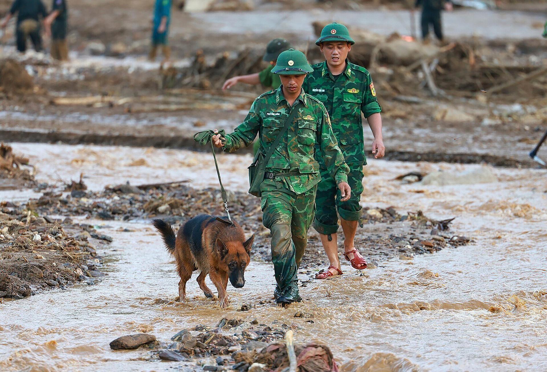 Rescue workers and a sniffer dog search for the missing after a flood buried a hamlet under mud and debris, in Lao Cai province (Vietnam), Thursday, September 12, 2024.