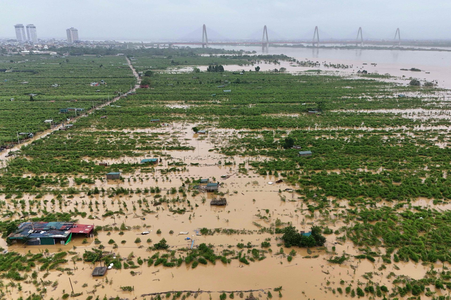 Flooded farms and fields in Hanoi (Vietnam), September 12, 2024.