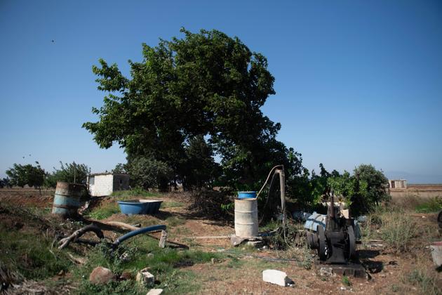 Le système d’irrigation sur le terrain de Mohamed (son prénom a été changé), près de Qattiné, en Syrie, à l’été 2024.