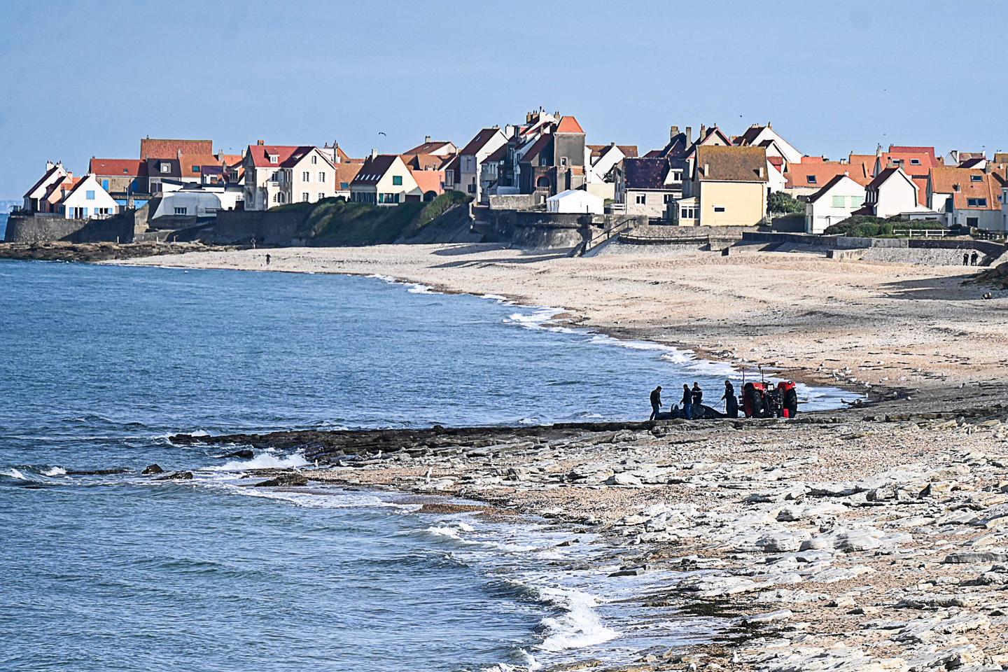 Eight migrants die trying to cross Channel, say French authorities