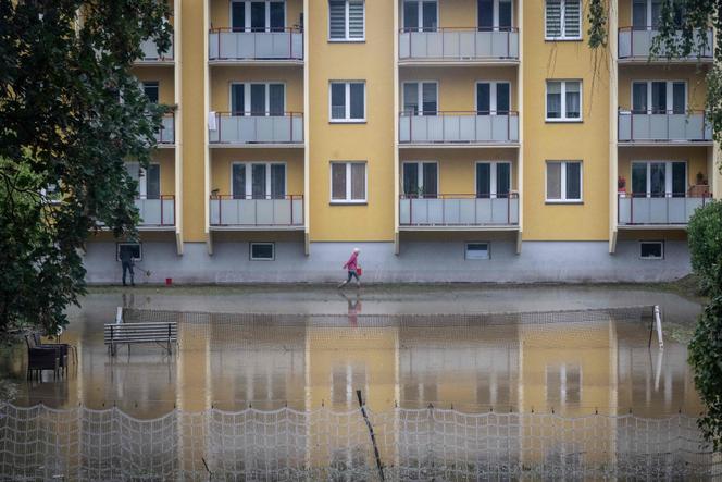 Images Le Monde.fr