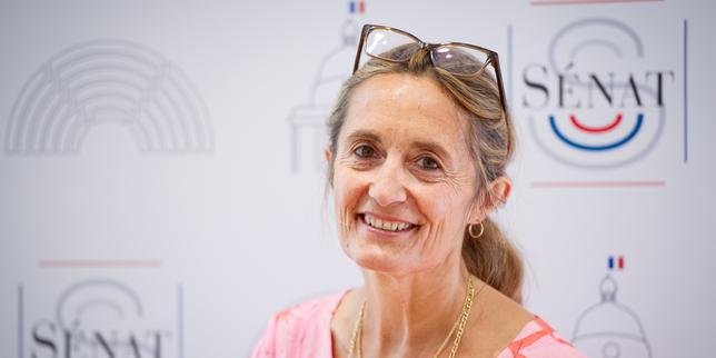Sophie Primas, vice-présidente du Sénat, nommée ministre déléguée chargée du commerce extérieur et des Français de l’étranger thumbnail