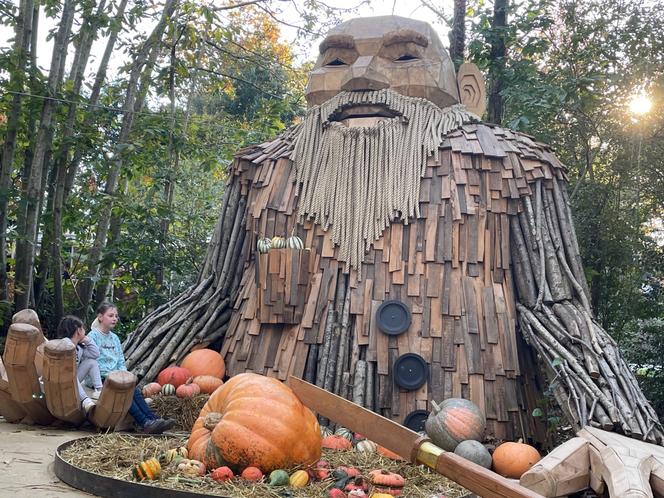 Le parcours « les mystères de la forêt » dans le parc Terra Botanica, à Angers (Maine-et-Loire).