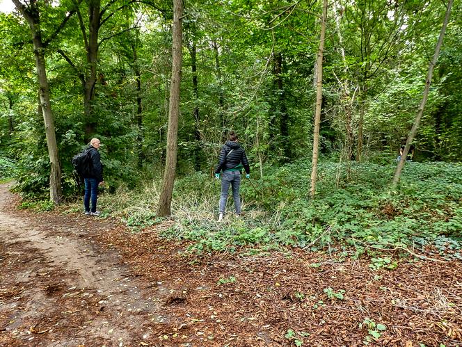 In the Bois de Boulogne wood, where Philippine's body was discovered, Paris, September 21, 2024.